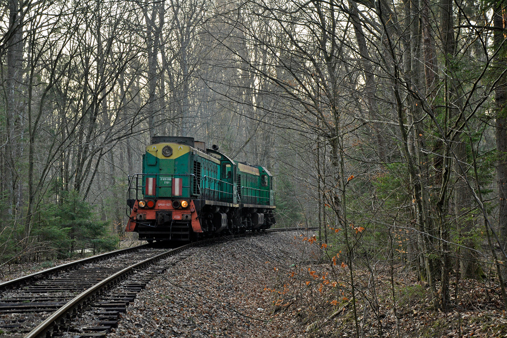 Briańsk TЭM2 #SM48-021