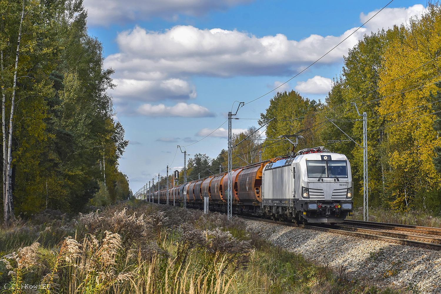 Siemens Vectron MS #193 513